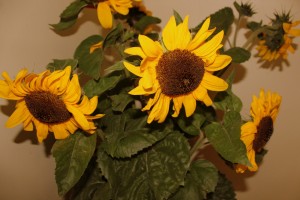 Rudens izstāde bērnudārzā